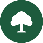 Cottonwood Tax logo
